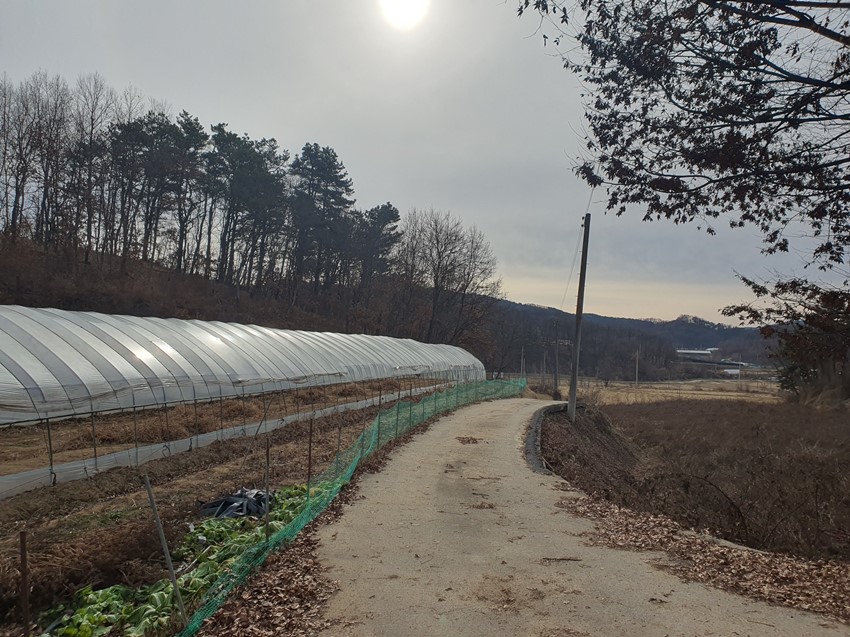 3.개포면 황산리 밭 매매